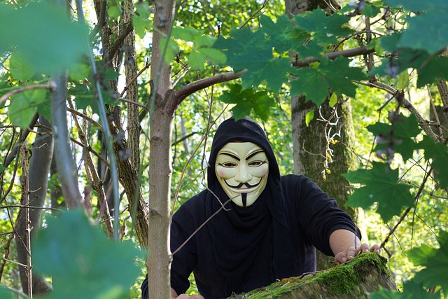 Identitätsdiebstahl: was soll ich tun?